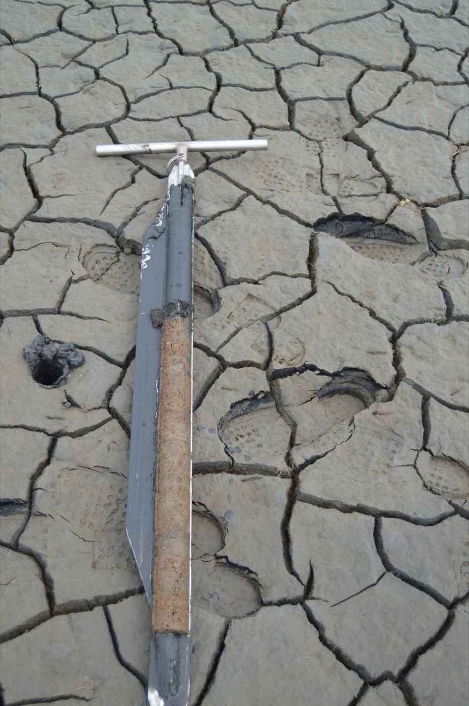 Cracked expansive clay soil that drives foundation movement