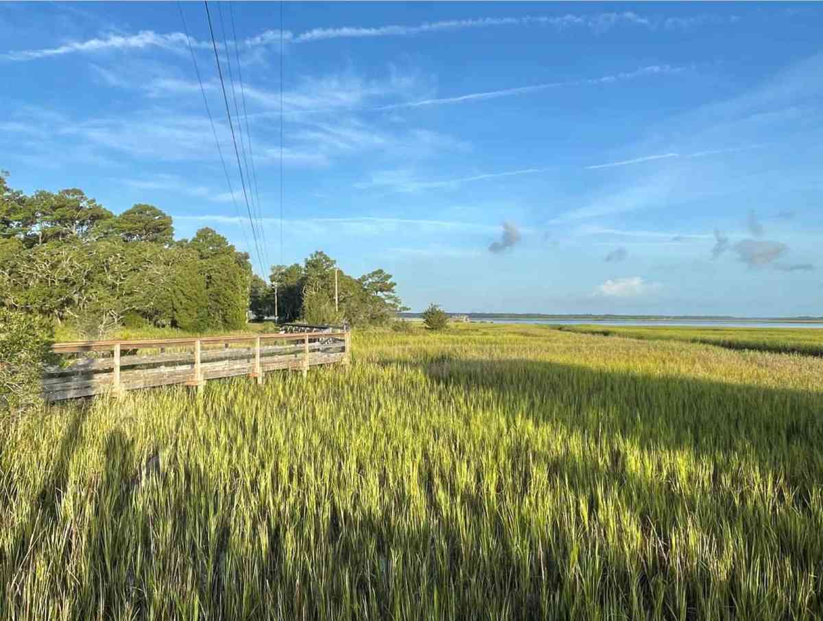 Boardwalk over a lowcountry salt marsh