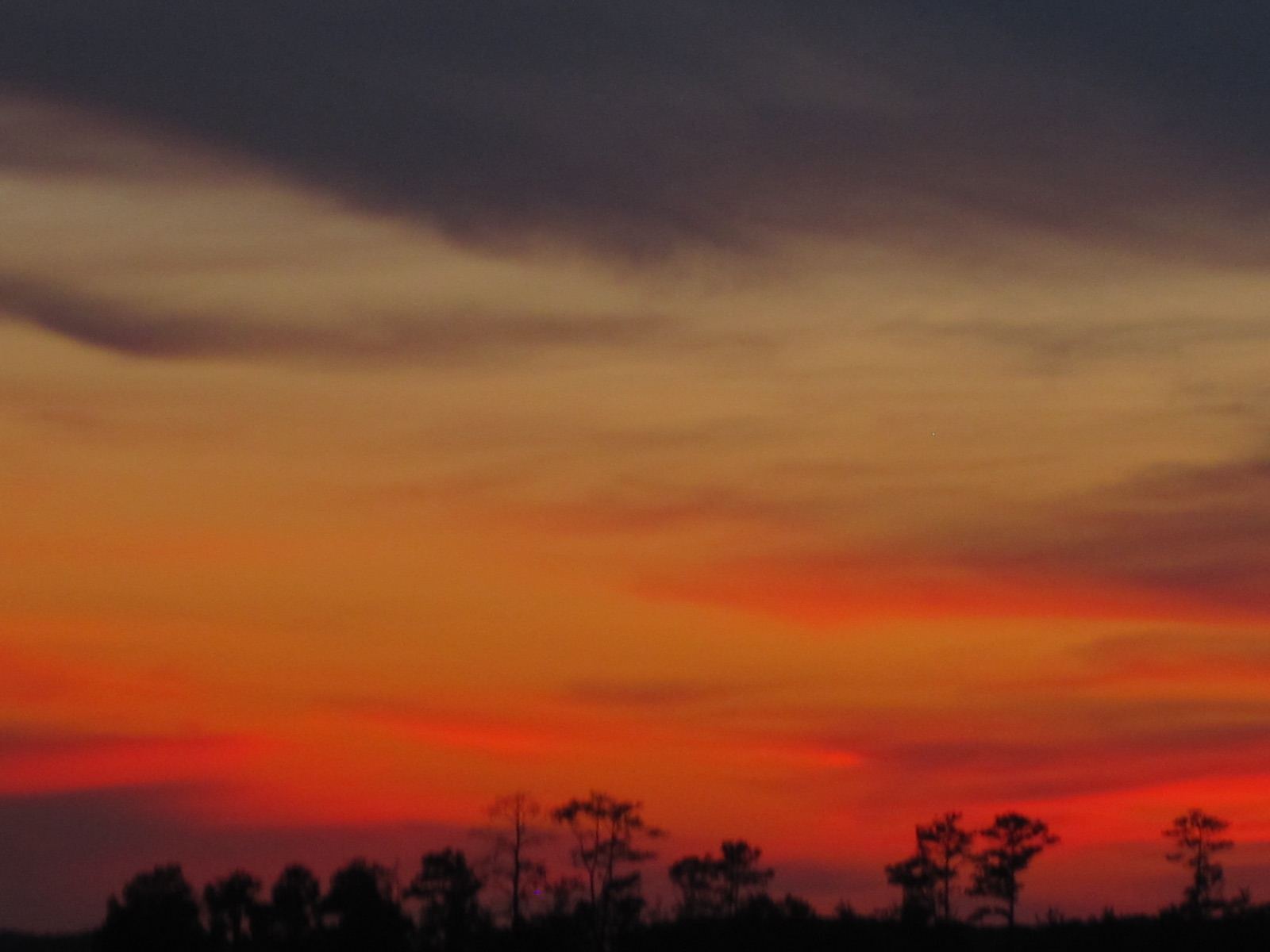 Sunset over a coastal georgia marsh