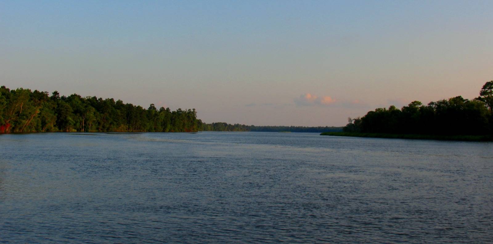 The ogeechee river near savannah, ga